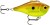 Wobler Rapala Rippin' Rap 5cm 9gr FNTC