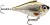 Wobler Rapala Rippin' Rap 5cm 9gr ROL