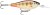 Wobler Rapala Shad Rap Elite 5,5cm 7g GDCP