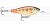 Wobler Rapala Shad Rap Elite 5,5cm 7gr GDCP