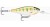 Wobler Rapala Shad Rap Elite 5,5cm 7gr GDYP