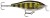 Wobler Rapala Shad Rap Shallow Runner 5cm 5gr PEL