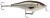 Wobler Rapala Shad Rap Shallow Runner 7cm 7gr ROL Wobler Rapala Shad Rap Shallow Runner 7cm 7gr ROL