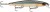 Wobler Rapala Shadow Rap 11cm 13gr HLW