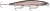 Wobler Rapala Shadow Rap 11cm 13gr SML