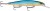 Wobler Rapala Shadow Rap Deep 11cm 13g BGH