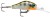 Wobler Rapala Shadow Rap Fat Jack 4cm 4gr BG Wobler Rapala Shadow Rap Fat Jack 4cm 4gr BG