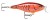 Wobler Rapala Shallow Shad Rap 5cm 5gr