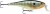 Wobler Rapala Shallow Shad Rap 7cm 7gr BG