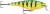 Wobler Rapala Shallow Shad Rap 7cm 7gr FP