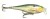 Wobler Rapala Shallow Shad Rap 9cm 12gr