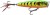 Wobler Rapala Skitter Pop Elite 7,5cm 10gr GDFT