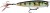 Wobler Rapala Skitter Pop Elite 7,5cm 10gr GDPEL