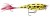 Wobler Rapala Skitter Pop - Top Water Fresh 7cm 7gr