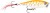 Wobler Rapala Skitter Pop - Top Water Fresh 7cm 7gr
