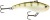 Wobler Rapala Slab Rap 6cm