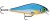 Wobler Rapala Super Shadow Rap 16cm 77gr BGH