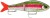 Wobler Rapala Super Shadow Rap Glide 11cm 45g RTL