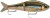 Wobler Rapala Super Shadow Rap Glide 16cm 86g SMB