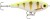 Wobler Rapala Super Shadow Rap Jerk 11cm 41g SNS