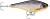 Wobler Rapala Super Shadow Rap Jerk 11cm 41gr HLW