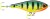 Wobler Rapala Super Shadow Rap Jerk 11cm 41gr