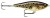 Wobler Rapala Twitchin’ Rap 12cm 53gr ARB