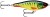 Wobler Rapala Twitchin' Rap 12cm 53gr HTPK
