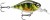 Wobler Rapala X-Light Crank Mid Runner 03 PEL 3,5cm 4gr