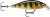 Wobler Rapala X-Light Minnow 05 5cm 4gr PEL