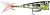 Wobler Rapala X-Light Pop 04 4cm 4,5gr GGIU Wobler Rapala X-Light Pop 04 4cm 4,5gr GGIU