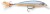 Wobler Rapala X-Rap 10cm 13gr SCP Wobler Rapala X-Rap 10cm 13gr SCP