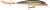 Wobler Rapala X-Rap 4cm 4gr G