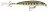 Wobler Rapala X-Rap 4cm 4gr OGMD