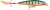 Wobler Rapala X-Rap 4cm 4gr P