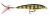 Wobler Rapala X-Rap 4cm 4gr PEL