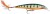 Wobler Rapala X-Rap 8cm 7gr P