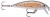 Wobler Rapala X-Rap Countdown 5cm 4g TR