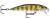 Wobler Rapala X-Rap Countdown 7cm 10gr PEL