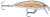 Wobler Rapala X-Rap Countdown 7cm 10gr TR
