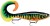 Wobler Rapala X-Rap Otus 17cm 40gr HTIP