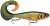 Wobler Rapala X-Rap Otus 17cm 40gr SCRR