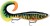 Wobler Rapala X-Rap Otus 25cm 90gr HTIP