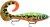Wobler Rapala X-Rap Otus 25cm 90gr PCK