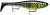Wobler Rapala X-Rap Peto 20cm 83gr PKL Wobler Rapala X-Rap Peto 20cm 83gr PKL