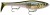 Wobler Rapala X-Rap Peto 20cm 83gr SMB Wobler Rapala X-Rap Peto 20cm 83gr SMB