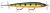 Wobler Rapala X-Rap Spin Bait 11 11cm 18gr P