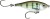 Wobler Rapala X-RAP Twitchin Mullet 8cm 13gr PF Wobler Rapala X-RAP Twitchin Mullet 8cm 13gr PF