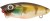 Wobler Rapture Chibi Pop 3,7cm 2,5gr Varijanta GG