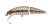 Wobler Sakura Phoxy Jointed 5,0cm 3,7gr T12